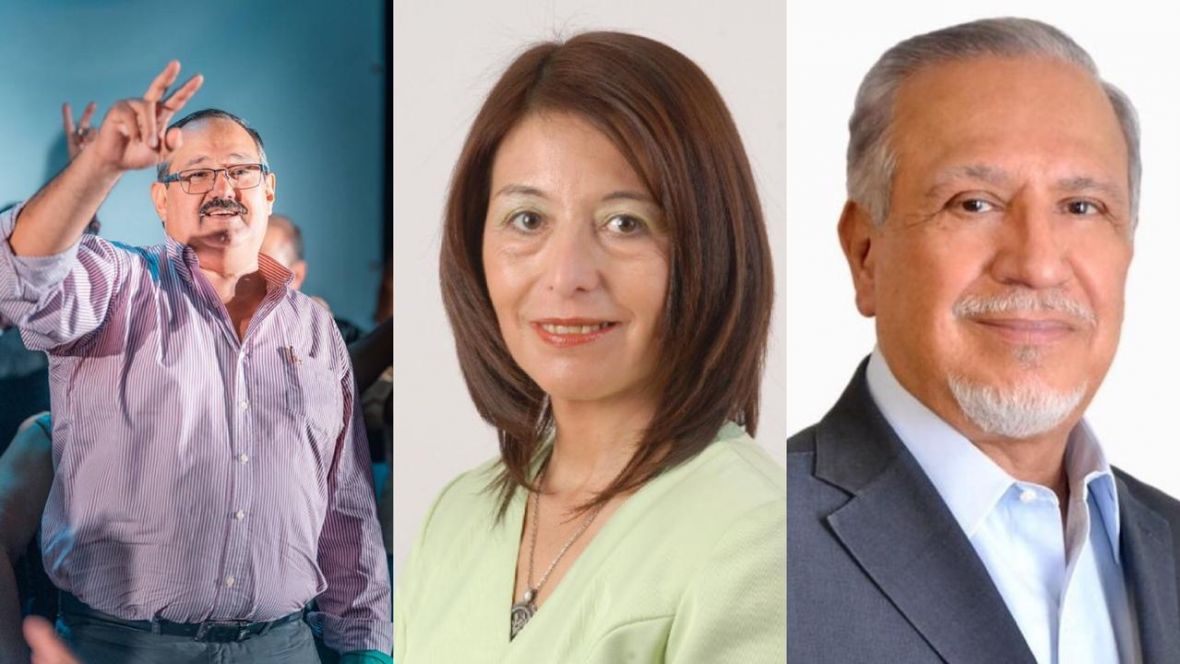 Leavy y Giménez a favor, Romero en contra: así votaron los senadores salteños la Emergencia Económica