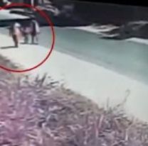 Video escalofriante: norteño atropelló a un nene de 4 años y escapó