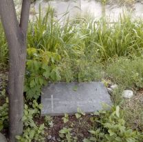 Salteño salió de su casa y encontró la lápida de una mujer: "Removieron la tierra y pusieron..."