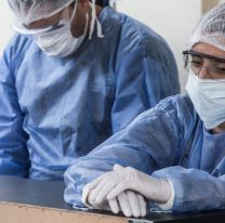 Coronavirus en Argentina: hay 4.379 pacientes internados en terapia intensiva