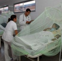 La otra epidemia: Salta registró 7000 casos de dengue en lo que va del año