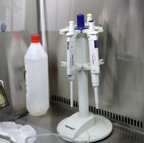 [URGENTE] Nuevo caso de coronavirus positivo en Salta: de dónde vino y cuándo