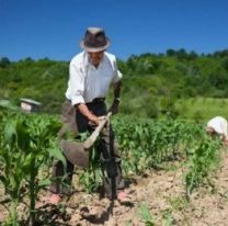 Desesperados por la crisis, trabajadores rurales piden que vuelva el subsidio intercosecha