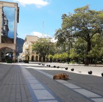 Nuevas restricciones en Salta: qué actividades están suspendidas desde este lunes 