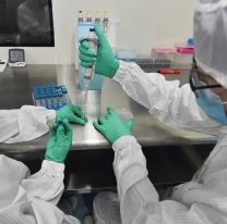 [URGENTE] Se confirmaron 176 casos de coronavirus en Salta
