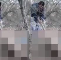 Lacras torturaron y mataron a un puma: el video que indigna a toda Salta
