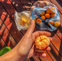 Andá comprando las mandarinas que se viene un finde a puro sol en Salta