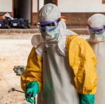 Un nuevo virus que preocupa: es similar al ébola y está en Bolivia