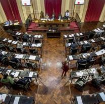 El Senado discutirá la suspensión de las PASO en Salta
