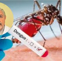 Alerta por dengue: el Ministro reconoció que preocupa la zona norte