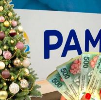 No todos los jubilados lo tendrán: a quiénes repartirán el bono navideño del PAMI