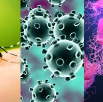 La nueva preocupación de Salud: casos de dengue-Covid y salmonella-coronavirus