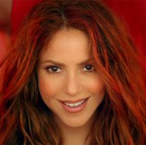 Wow: fans convierten a Shakira en una obra de arte