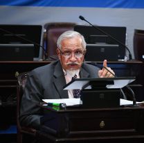 Romero: "La tozudez del régimen K termina el 14 de noviembre"