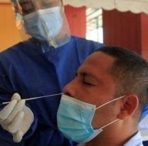 Coronavirus: cuáles cepas ya circulan y porqué son tan peligrosas en Salta 