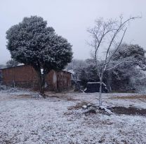 [URGENTE] Empezó a nevar en Salta 