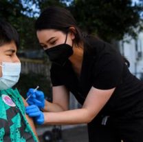 Llegaron más de 28 mil dosis de vacuna Moderna a Salta
