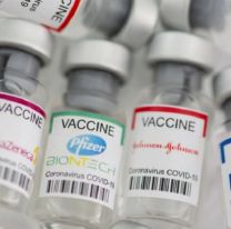 Combinación de Vacunas: salteños podrán elegir qué segunda dosis ponerse 
