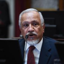 Romero: "Alberto Fernández es responsable de hacer que la vicepresidenta ocupe su lugar"