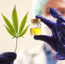 El Cannabis medicinal en Salta: Charla informativa sobre su implementación