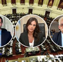 Estrada, Calletti y Zapata: juran los nuevos diputados nacionales por Salta 