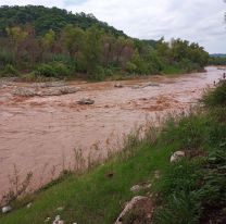 [URGENTE] Changuito se metió al río y el agua lo terminó arrastrando