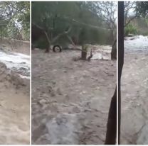 Se desató una tormenta que inundó a todo Guachipas [VIDEO]
