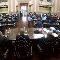 El Senado de Salta aprobó por unanimidad el Presupuesto 2022 