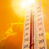 Pueblo de Salta llegó a los 45º y reventó el termómetro: "Es un infierno"