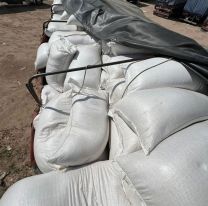 El contrabando que no pueden parar en Salta: Decomisan más de 37 toneladas de soja