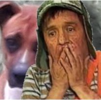 Encontraron un perro hinchado como globo en Salta: "Necesita ayuda urgente"