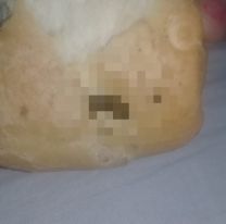 Salteño compró una bolsa de pan y cuando la abrió encontró algo repugnante