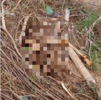 Un horror: el cuerpo encontrado en la Quebrada estaba despedazado
