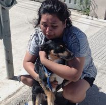 Salteños quedaron varados con su perrito en otra provincia: están sin trabajo y necesitan ayuda