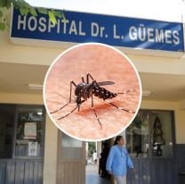 Se confirmó el primer caso de dengue en Salta: se trata de un adulto mayor