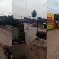 Impactante video del feroz temporal en Cerrillos: una calle se convirtió en río