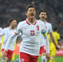 Polonia, rumbo a Qatar: Lewandowski eliminó a Ibrahimovic y lo dejó sin Mundial