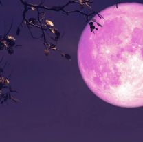La Luna Rosa podrá verse este fin de semana: cómo afectará en tu estado de ánimo