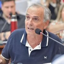 Gauffin advirtió que el Gobierno nacional busca eliminar las PASO