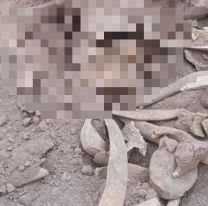 Horror en una finca: cavaban un pozo y encontraron huesos humanos