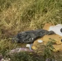 Macabro hallazgo en un baldío: un perro salió a pasear y volvió con restos humanos