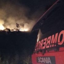 Terrible incendio forestal: Bomberos arriesgan su vida y pelean contra el fuego