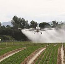 Anta en alerta por el uso de pesticidas peligrosos en hidroaviones