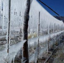 La helada pegó con todo en Salta y una localidad se congeló: "Puro hielo"