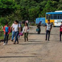 Alerta por el dengue: cerrarán la frontera con Bolivia 