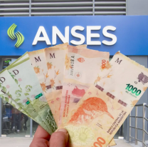 ANSES paga un bono de casi $50.000: quiénes pueden cobrarlo