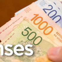 Nuevo bono de $50.000 de Anses: cómo saber si te toca cobrarlos 