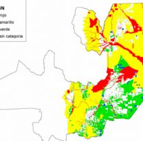 No se habilitarían más zonas para la agricultura y ganadería intensiva en Salta