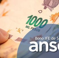 Nuevo bono IFE para postergados: cómo hacer para entrar en la lista y cobrar