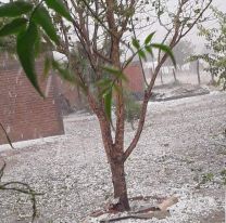 Comenzó a granizar en Salta y pronostican un fuerte temporal para el domingo